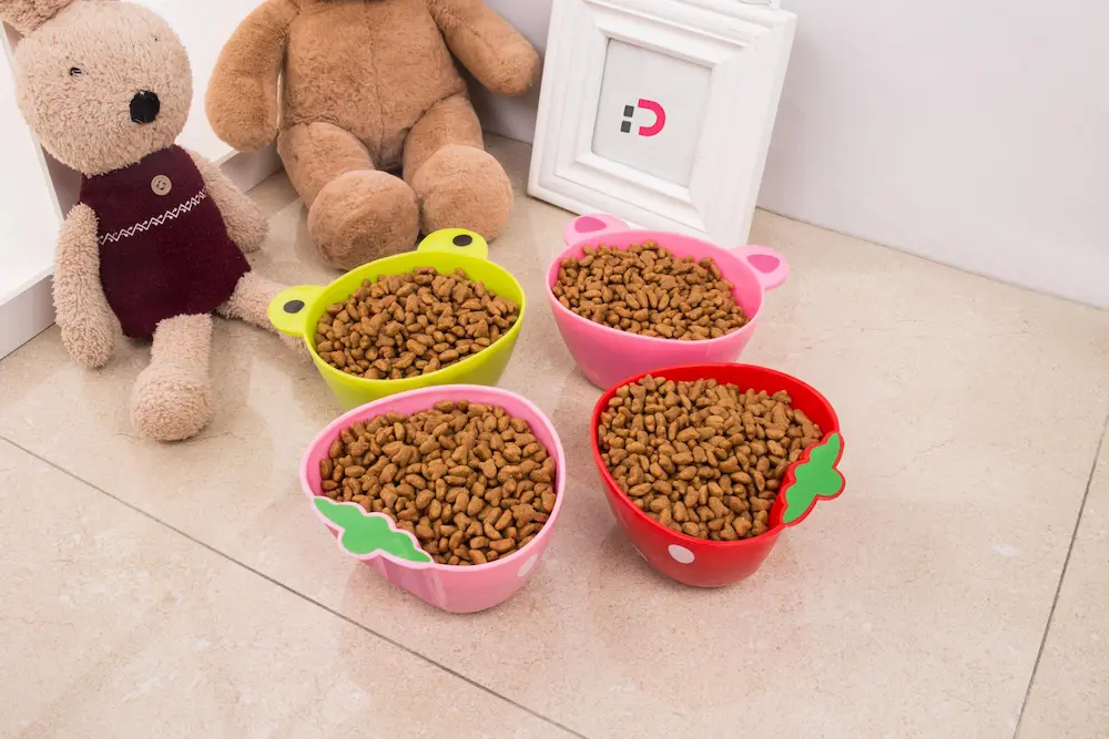 راهنمای خرید ظرف آب و غذا سگ با کیفیت بالا | بهترین گزینه‌ها برای ظرف آب و غذا گربه چیست؟ | پت‌شاپ آنلاین پتدونی 1404